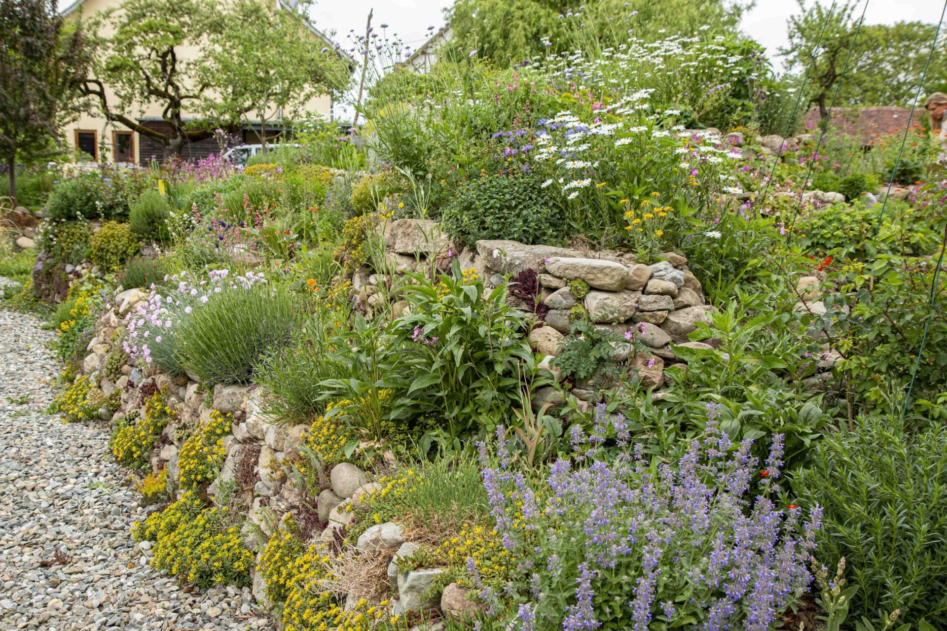 Mauersituation im Naturgarten